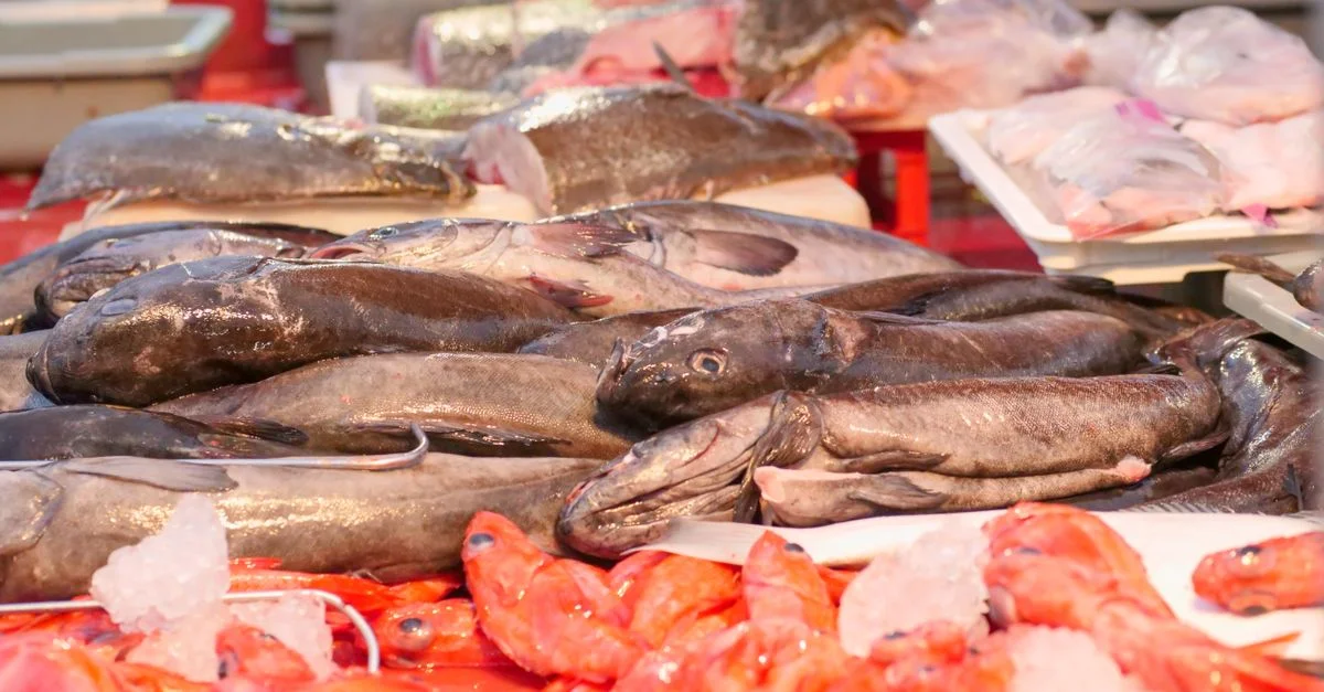 Una exhibición vibrante de pescado y mariscos frescos en un mercado, con varios peces y crustáceos sobre hielo.